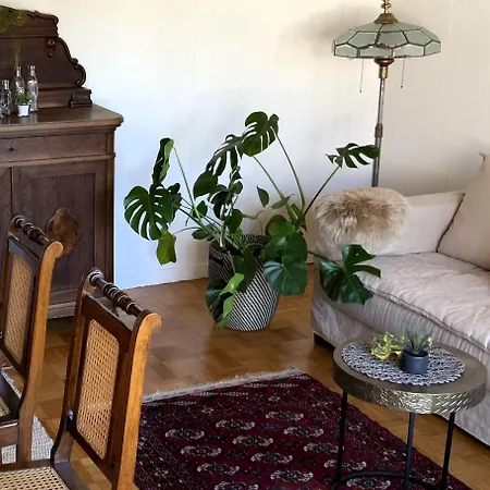 Ruth * Neckarbischofsheim